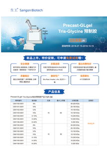 生工生物技術(shù)交流 把握Tris預制膠促銷，提升生命科學研究效率